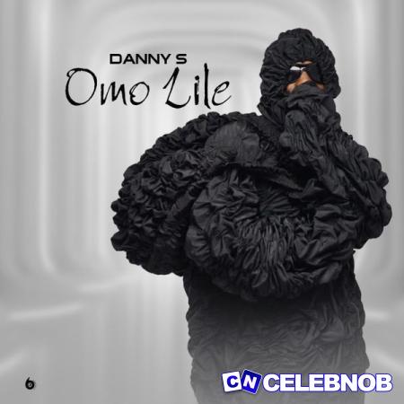 Cover art of Danny S – Omo Lile