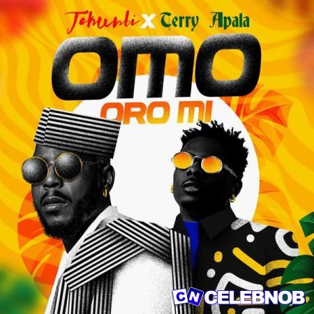 Cover art of Tekunbi – Omo Oro Mi ft. Terry Apala