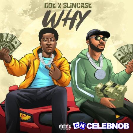 Cover art of G.O.E – WHY (Original) ft Slimcase