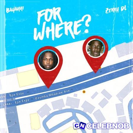 Cover art of Bayanni – For Where? Ft. Zerrydl