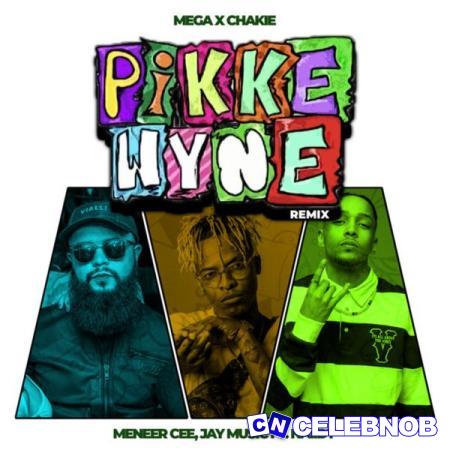 Cover art of Mega – Pikkewyne (Remix) ft. Chakie, Meneer Cee, Naiidy & Jay Music