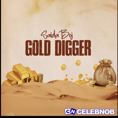 Cover art of Saidaboj – Gold digger