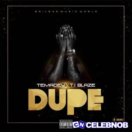 Cover art of TI Blaze – DUPE ft Temadey