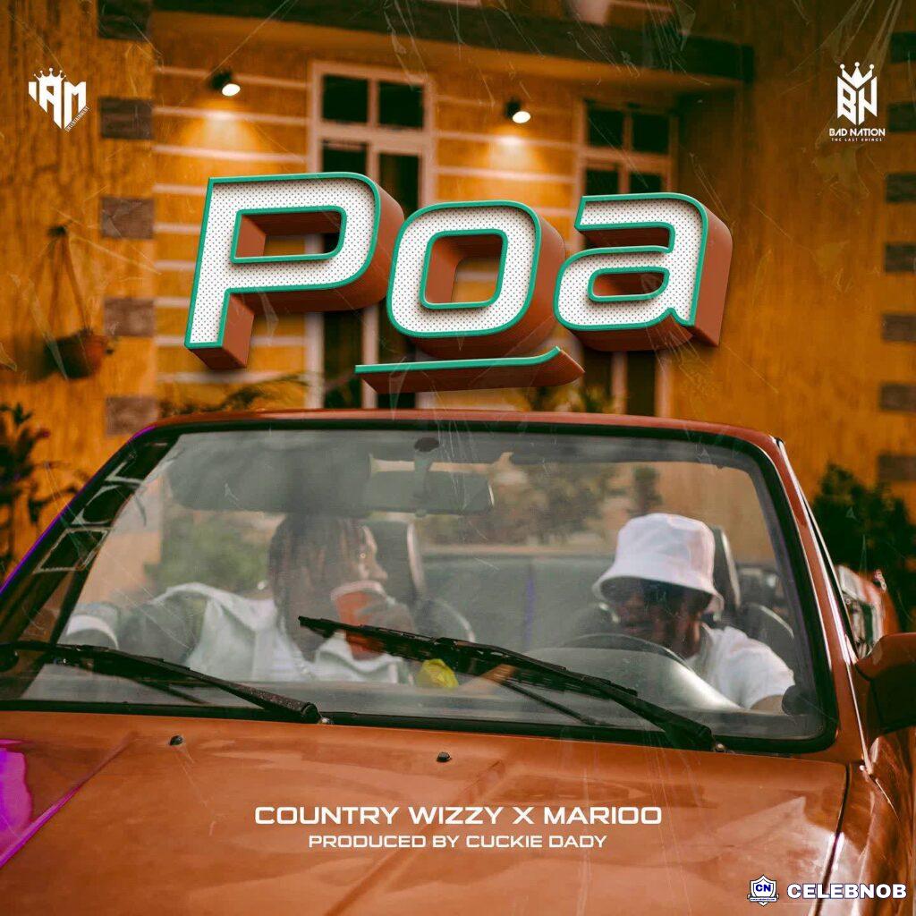 Cover art of Country Wizzy - Poa ft Marioo