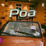 Country Wizzy - Poa ft Marioo