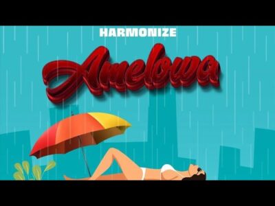 Cover art of Harmonize – Amelowa