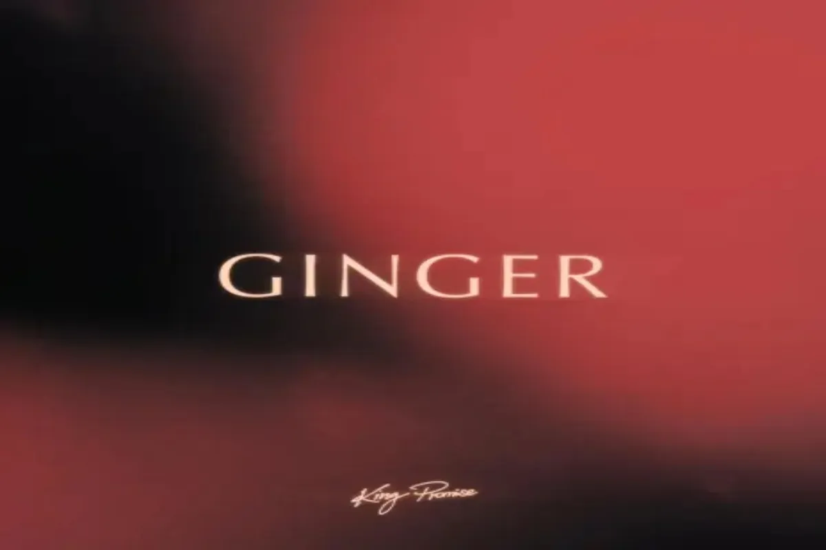 King Promise - Ginger
