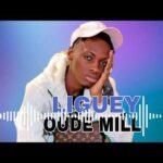 Oude Mill - Liguey