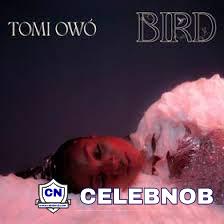 Cover art of Tomi Owo – Bird