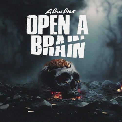 Cover art of Alkaline – OPEN A BRAIN