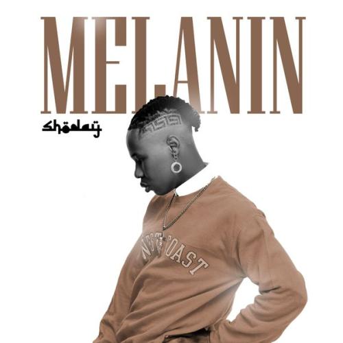 Cover art of Shoday – Melanin (Speed Up)