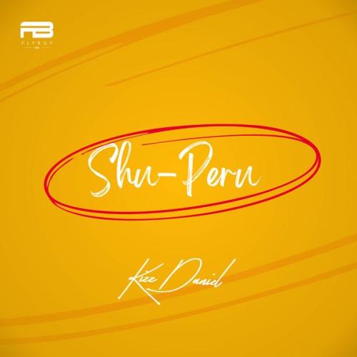 Cover art of Kizz Daniel – Shu-Peru