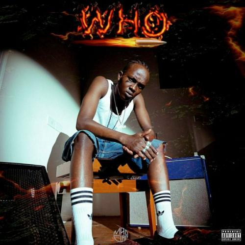 Cover art of Big yasa – WHO