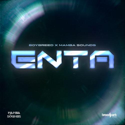 Cover art of Boybreed – ENTA Ft. Mamba Sounds