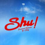 Diamond Platnumz – Shu! Ft. Chley