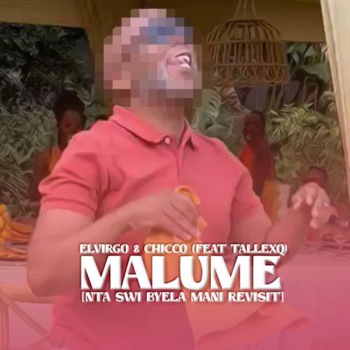 Cover art of Elvirgo – Malume (Nta Swi Byela Mani Revisit) Ft. Chicco & TallexQ