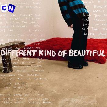 Cover art of Alec Benjamin – Different Kind Of Beautiful