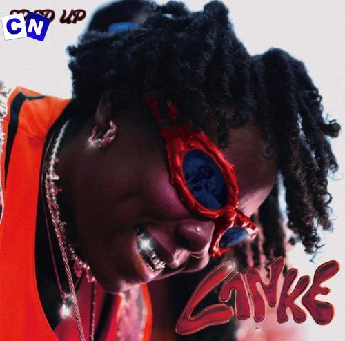 Cover art of Teni – Lanke (Sped Up)