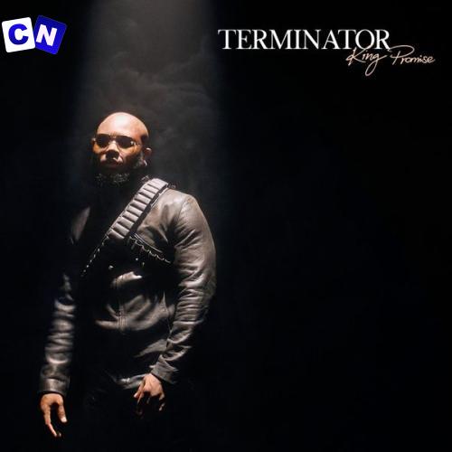 Cover art of King Promise – Terminator