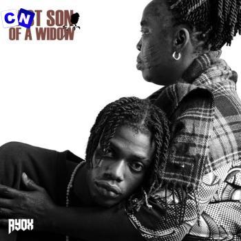 Cover art of Ayox – Ashawo Boy Ft. Tekno