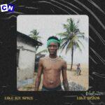 Blaqbonez – LIKE ICE SPICE