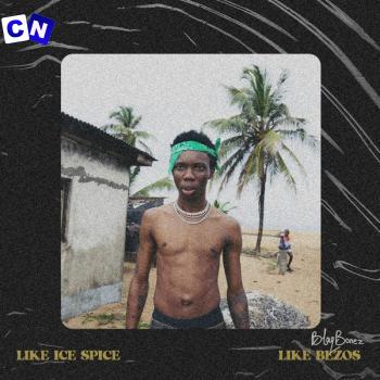 Cover art of Blaqbonez – LIKE ICE SPICE (New Song)