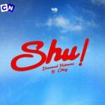 Diamond Platnumz – Shu! Ft Chley (New Song)