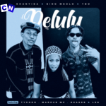 Khanyisa – Delulu Ft Sino Msolo, TBO, Tycoon, Marcus MC & Shakes & Les