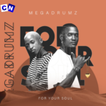 Megadrumz – Tjina Ft Lady Du