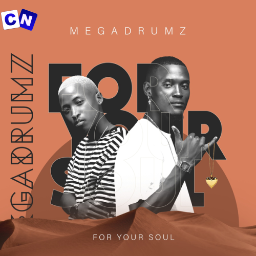 Cover art of Megadrumz – Tjina Ft Lady Du