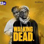 Mobad – Walking Dead ft Zlatan