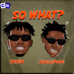 N.M.I.A – So What? ft. Tekno & Shallipopi