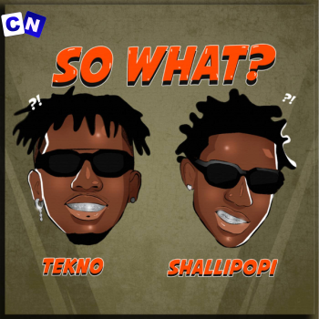 N.M.I.A – So What? ft. Tekno & Shallipopi Latest Songs