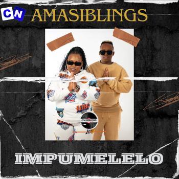 Cover art of AmaSiblings – Impumelelo