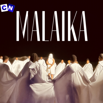 Cover art of Teni – Malaika