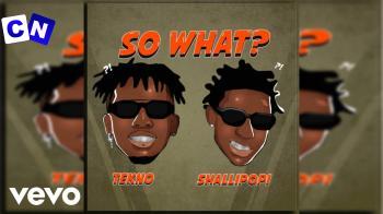 Cover art of Tekno – So What? Ft Shallipopi