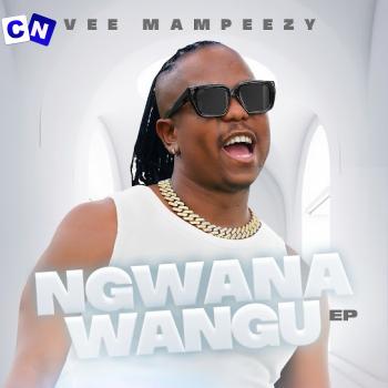 Cover art of VEE MAMPEEZY – Vule Masango