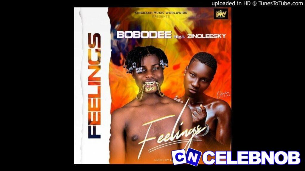 Cover art of Bobodee – Feelings Ft Zinoleesky