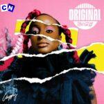 Cuppy – Jollof On The Jet Ft. Rema & Rayvanny