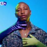 Da Muziqal Chef – Ama Pillow Talk Visualizer ft DaliWonga