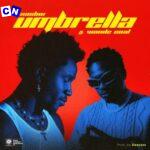 Nasboi – Umbrella (New ft Wande Coal