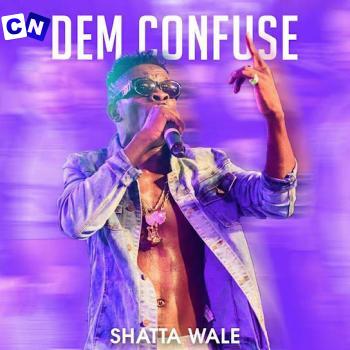 Cover art of Shatta Wale – Dem Possess