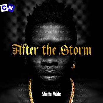 Cover art of Shatta Wale – Kill Dem Wif Prayers