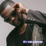 Hook Lyrics by Kizz Daniel