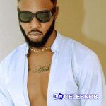 Levels Pro Max Lyrics by Flavour