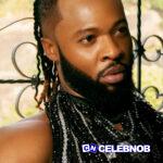 Lion's Den Lyrics by Flavour