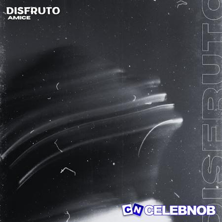 Cover art of Amice – Disfruto (Remix)