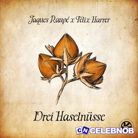 Jaques Raupé – 3 Haselnüsse ft Felix Harrer Latest Songs