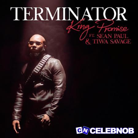 Cover art of King Promise – Terminator (Remix) ft. Sean Paul & Tiwa Savage