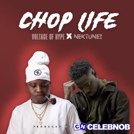 Cover art of Voltage Of Hype – Chop Life Ft Nektunez